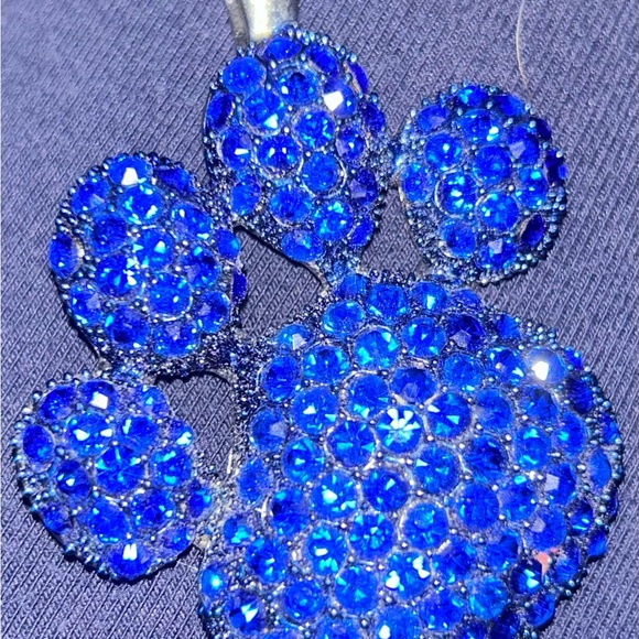 NCAA Kentucky wildcats magnetic necklace charm - Picture 3 of 7
